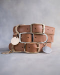 Dog Collar in Caramel leather with classy pin buckle