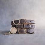 Country gray leather dog collars stacked with pin buckles and a round engraved ID tag