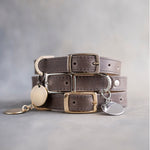 Country gray leather dog collars stacked with pin buckles and gold hardware, ID tag attached