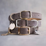 Dog collar in country gray leather with a classy pin buckle and brass ID tag, three stacked