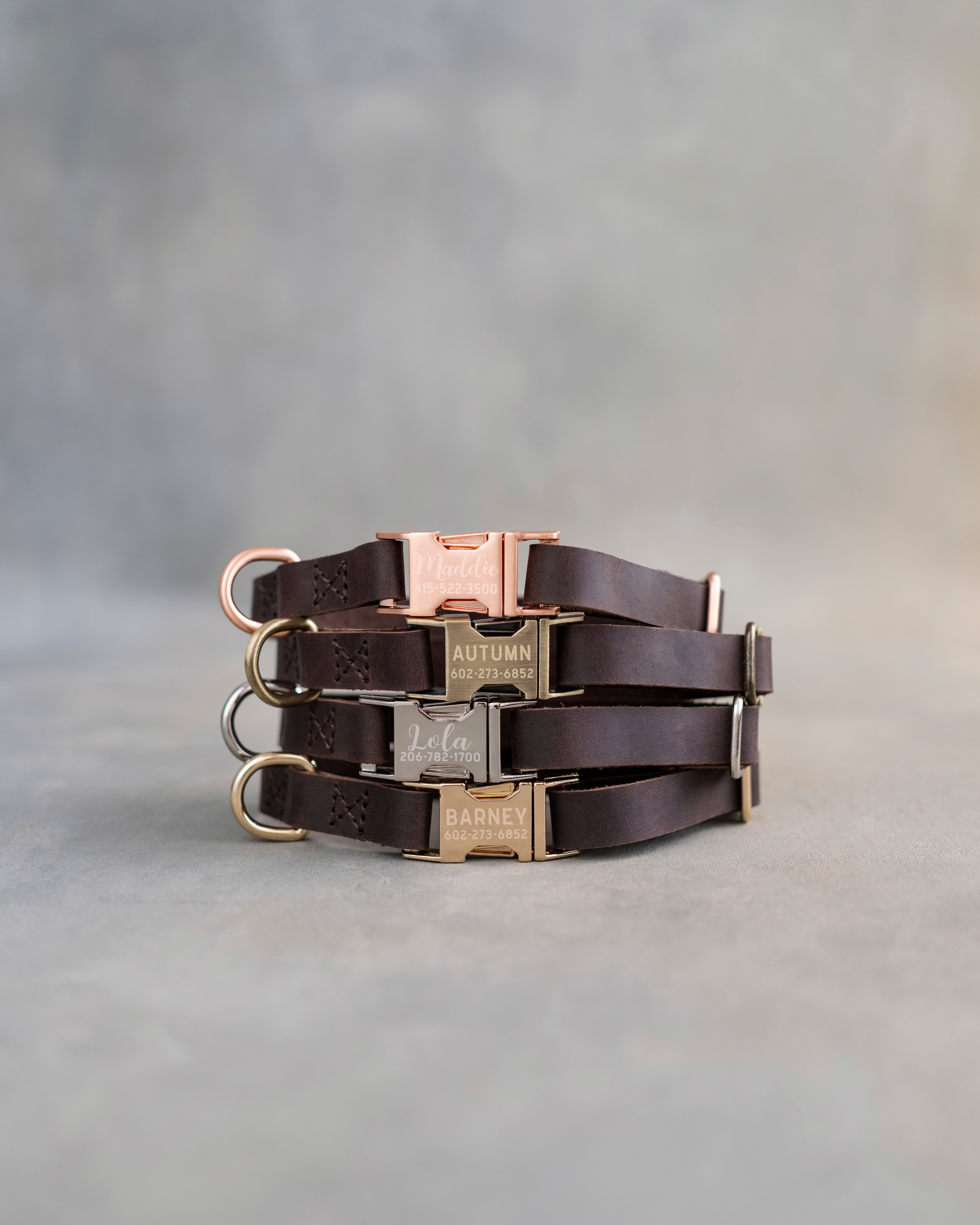 Dog Collar in Dark Espresso leather with fast release buckle
