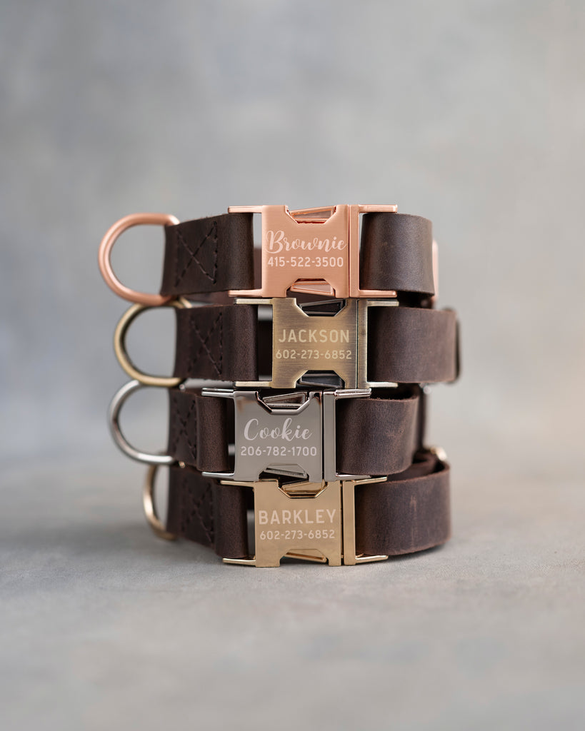 Dog Collar in Dark Espresso leather with fast release buckle