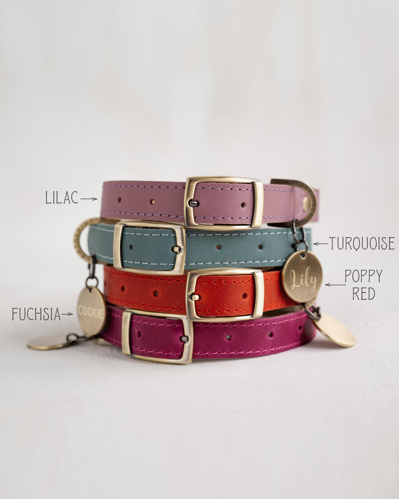 Personalized Leather Dog Collar with classic belt buckle