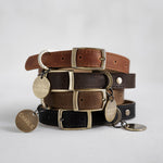 Personalized Dog Tag