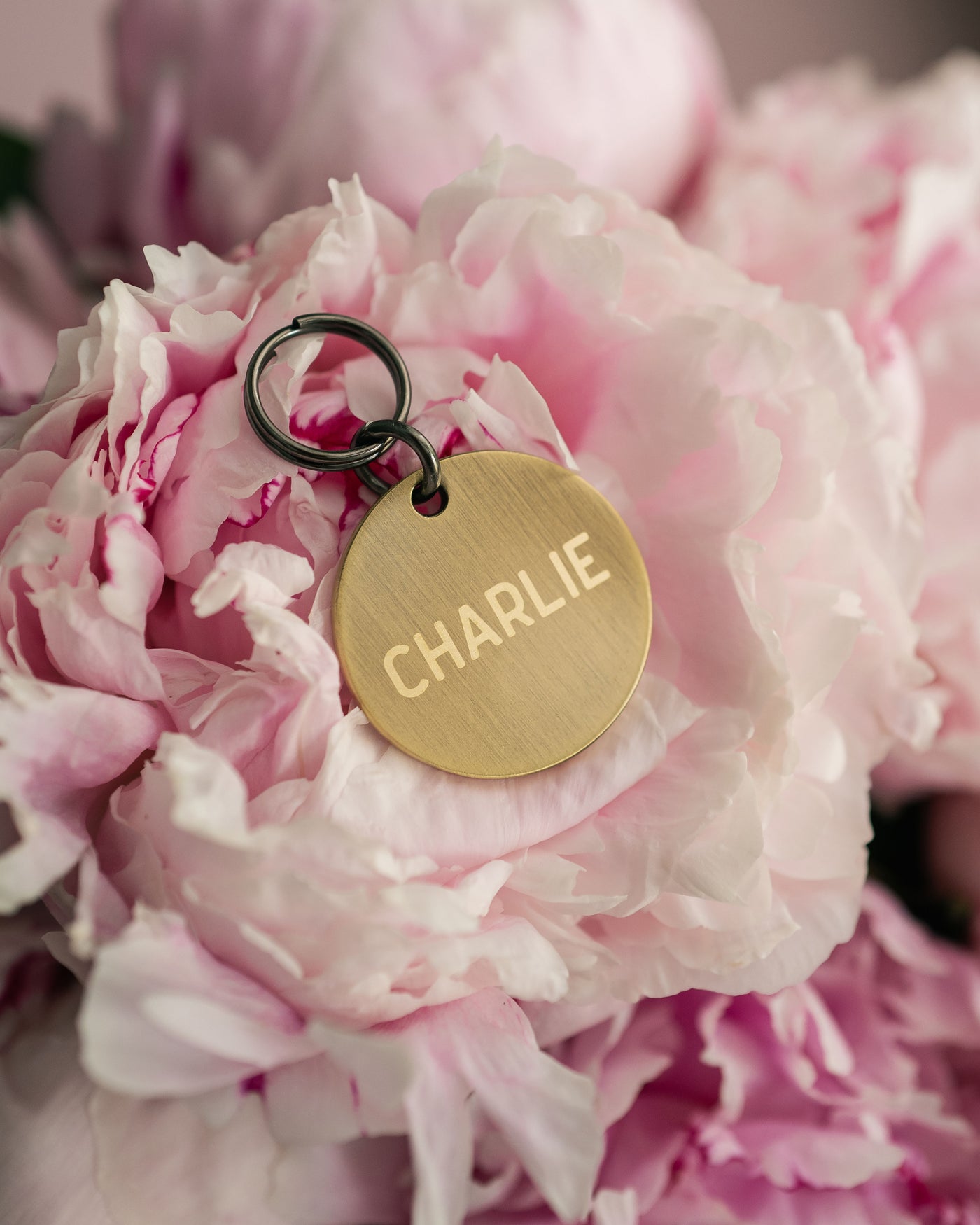 Dog Tag
