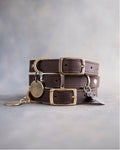 Dog Collar in Dark Espresso leather with classy pin buckle