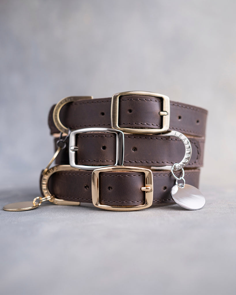 Dog Collar in Dark Espresso leather with classy pin buckle