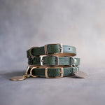 Forest green leather dog collars stacked with pin buckles and gold hardware, ID tag attached