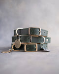 Dog Collar in Forest Green leather with classy pin buckle