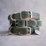 Dog collar in forest green leather with a classy pin buckle and brass ID tag, three stacked