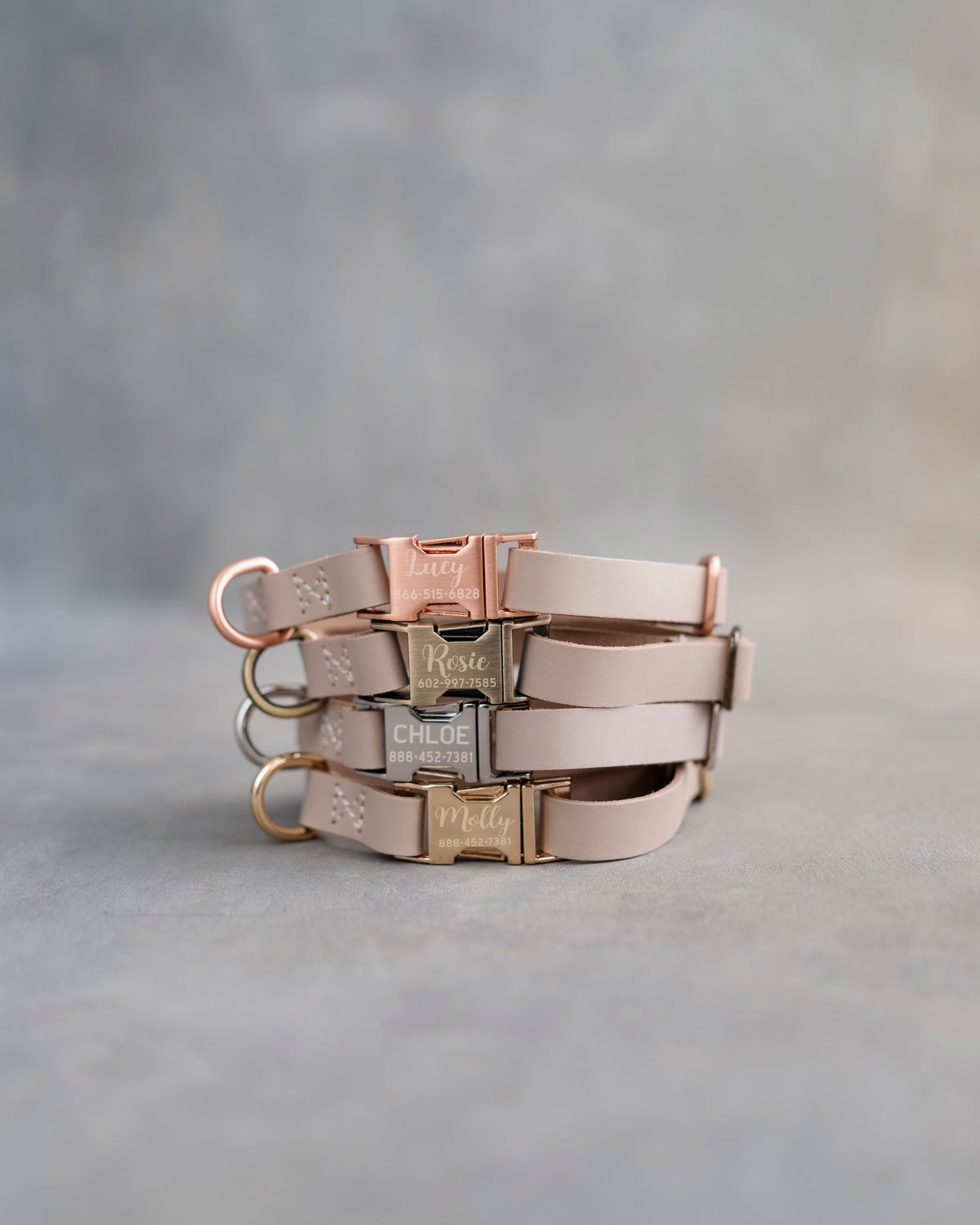 Beige dog collars in Gray Sand full-grain leather, 5/8 in wide, with engraved quick release buckles in four finishes