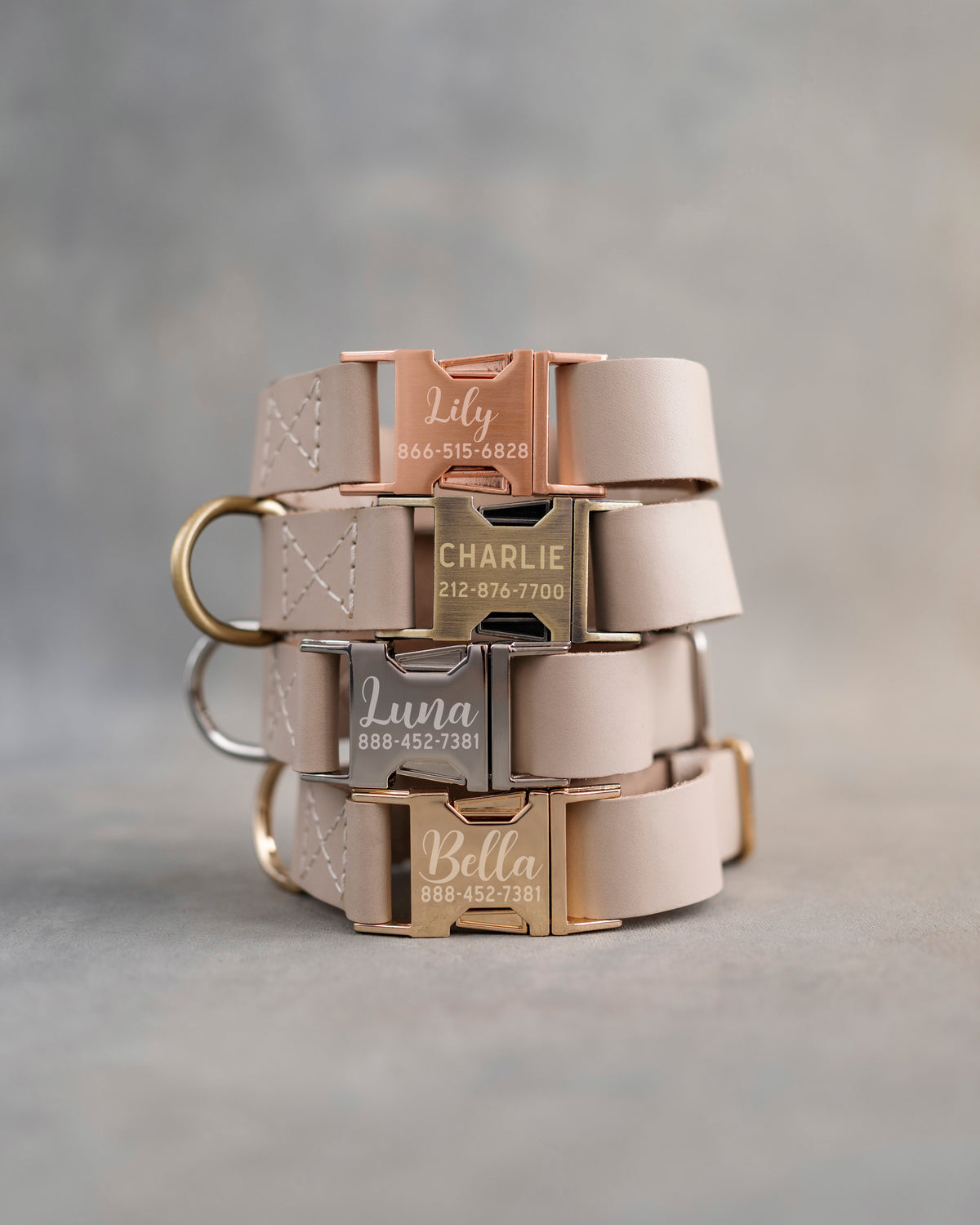 Beige dog collars in Gray Sand full-grain leather, 1 in wide, with quick release buckles engraved with names