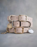 Dog Collar in Gray Sand leather with classy pin buckle
