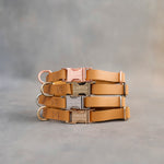 Orange dog collars in Indian Summer full-grain leather, 5/8 in wide, with engraved quick release buckles in four finishes