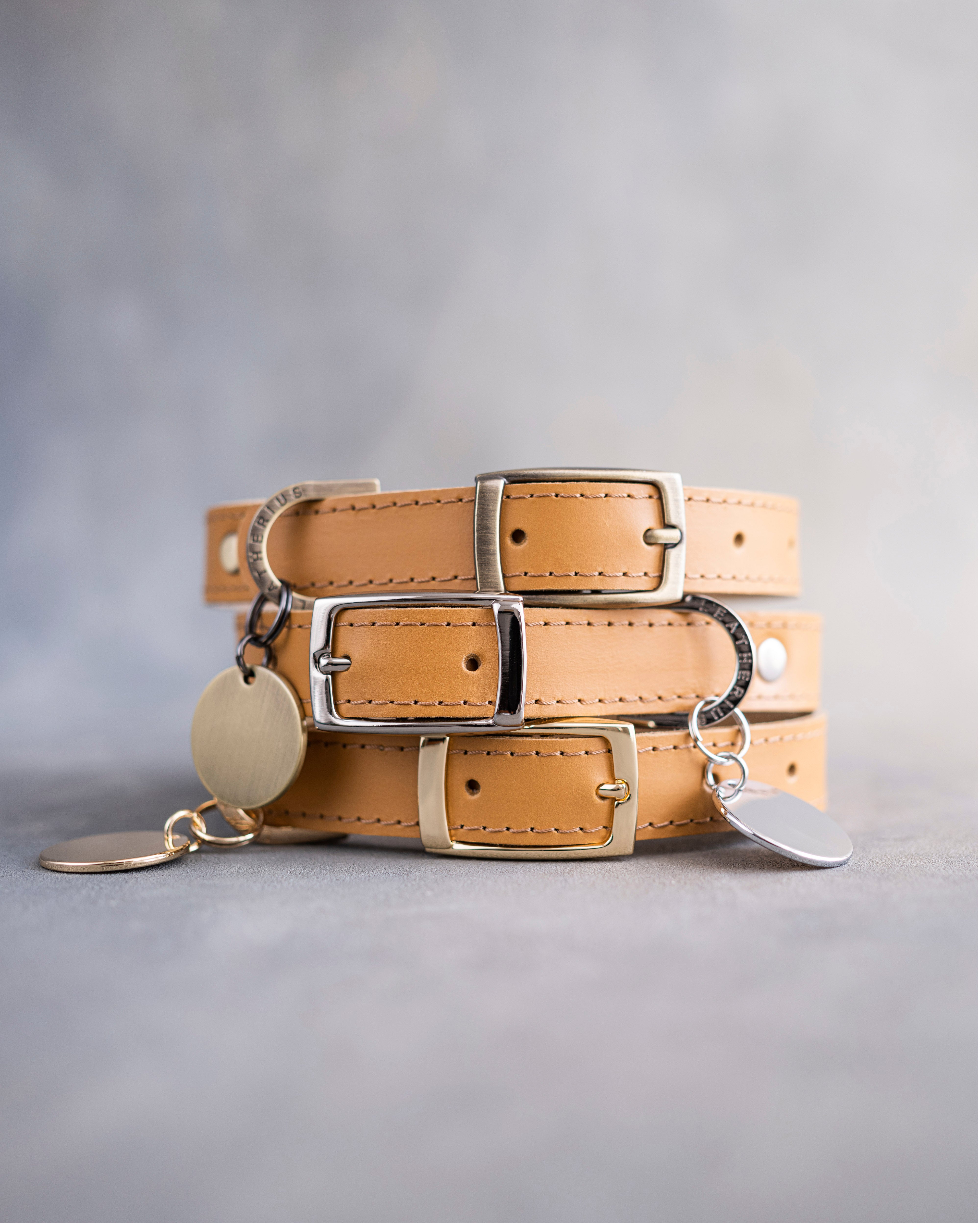 Dog Collar in Indian Summer leather with classy pin buckle
