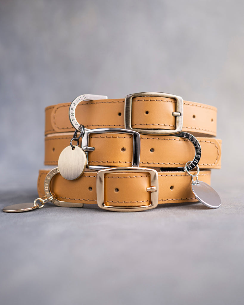 Dog Collar in Indian Summer leather with classy pin buckle