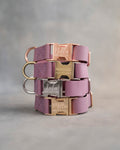 Dog Collar in Lilac leather with fast release buckle