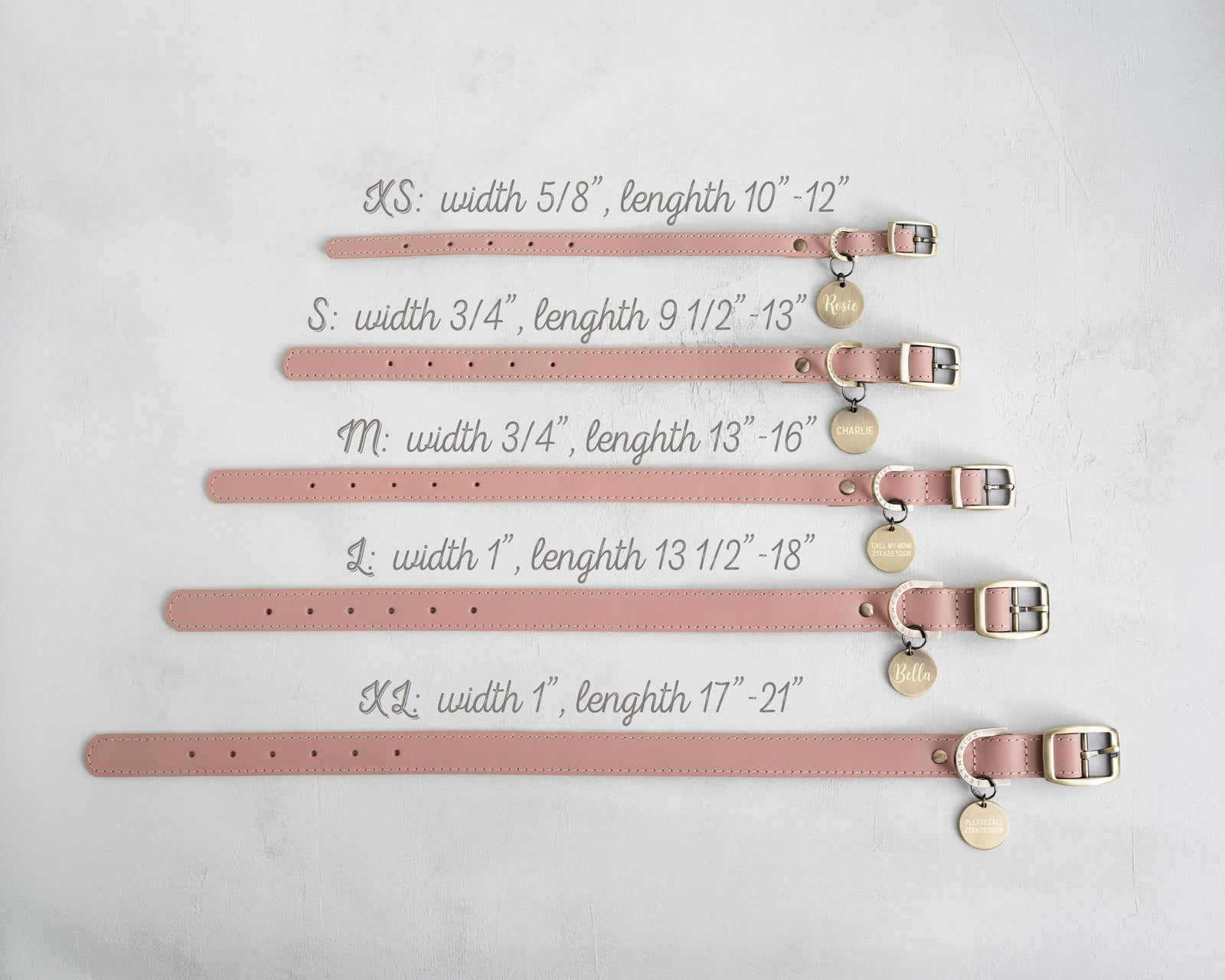 Dog Collar with classic belt buckle