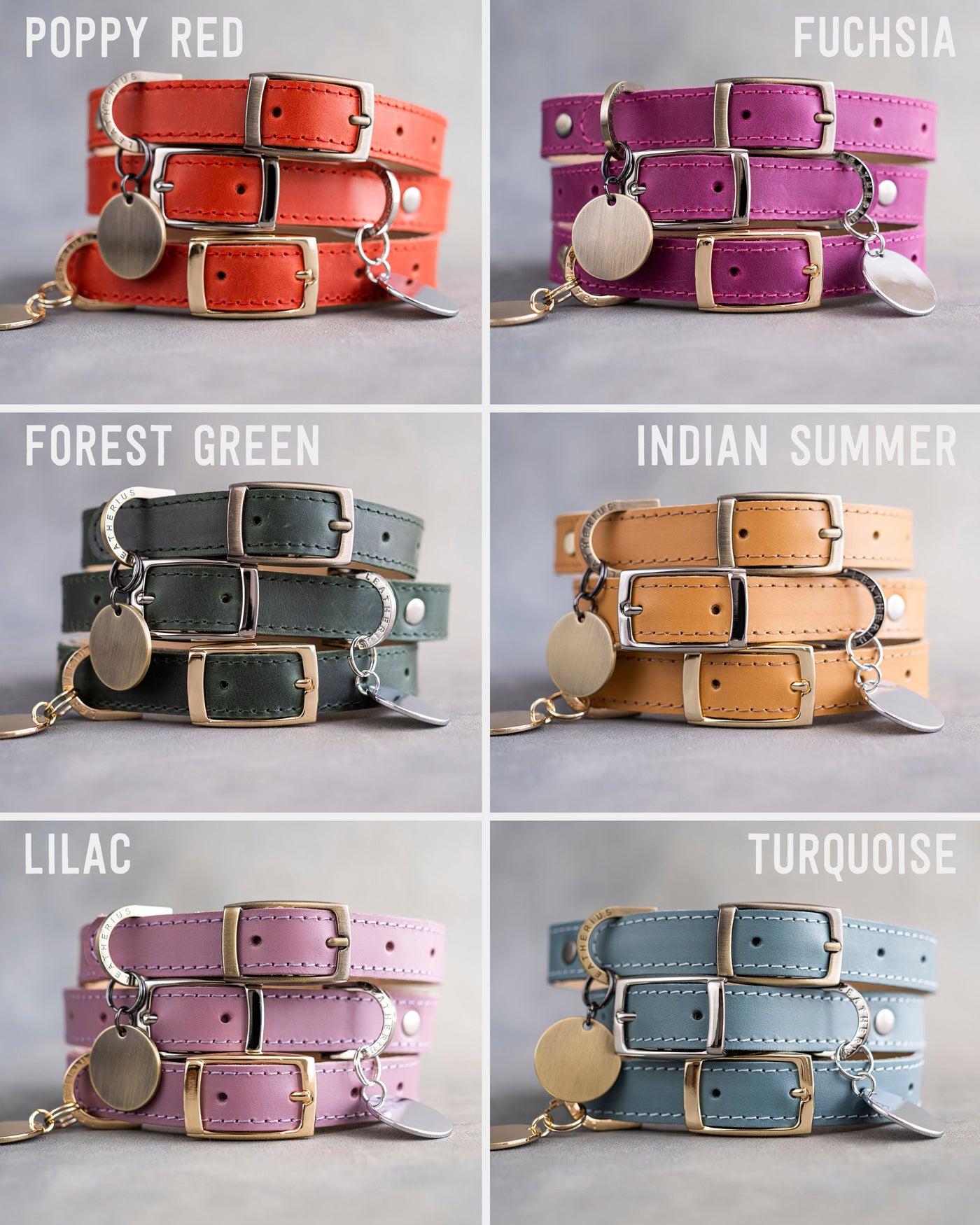 Dog Collar with classic belt buckle