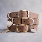 Dog Collar with classic belt buckle