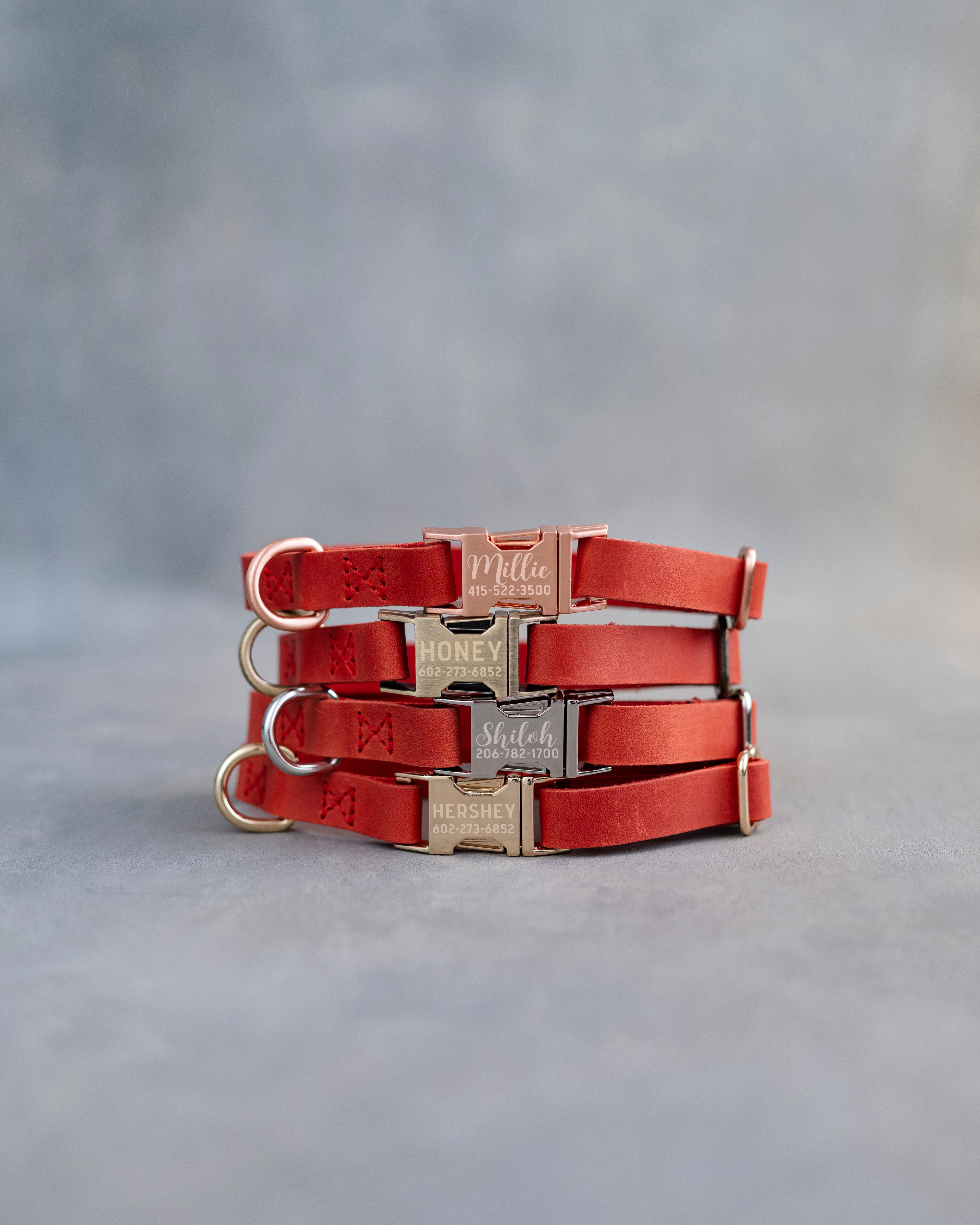 Dog Collar in Poppy Red leather with fast release buckle