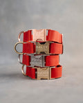 Dog Collar in Poppy Red leather with fast release buckle