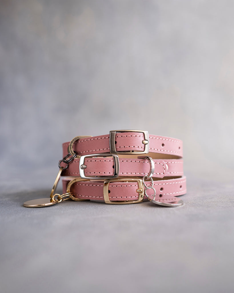 Dog Collar in Parisian Blossom leather with classy pin buckle