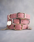 Dog Collar in Parisian Blossom leather with classy pin buckle