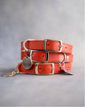 Dog Collar in Poppy Red leather with classy pin buckle