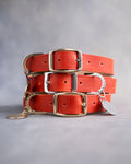 Dog Collar in Poppy Red leather with classy pin buckle