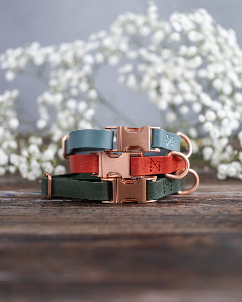 Rose Gold Buckle Dog Collar