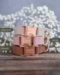 Rose Gold Buckle Dog Collar