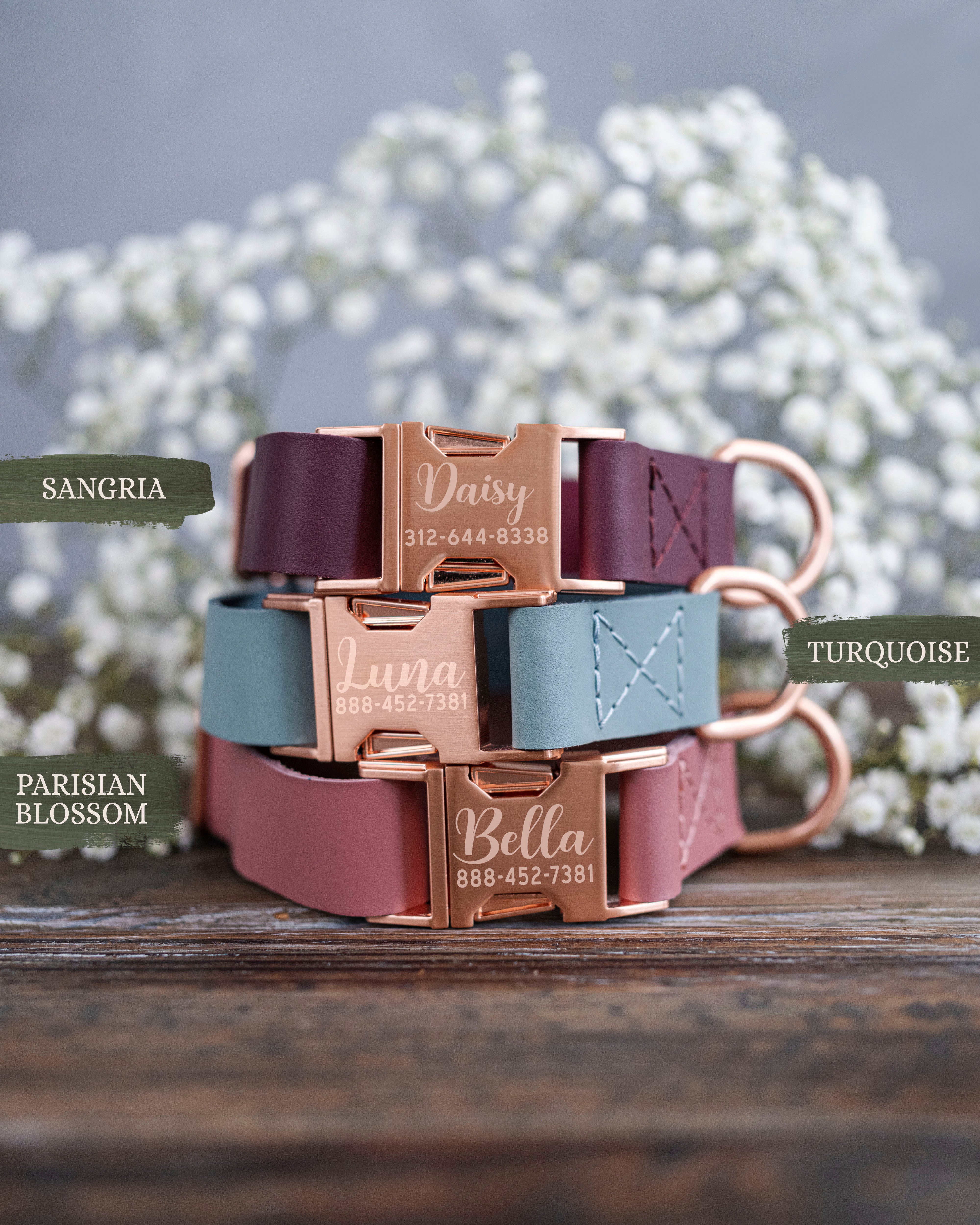 Rose Gold Buckle Dog Collar