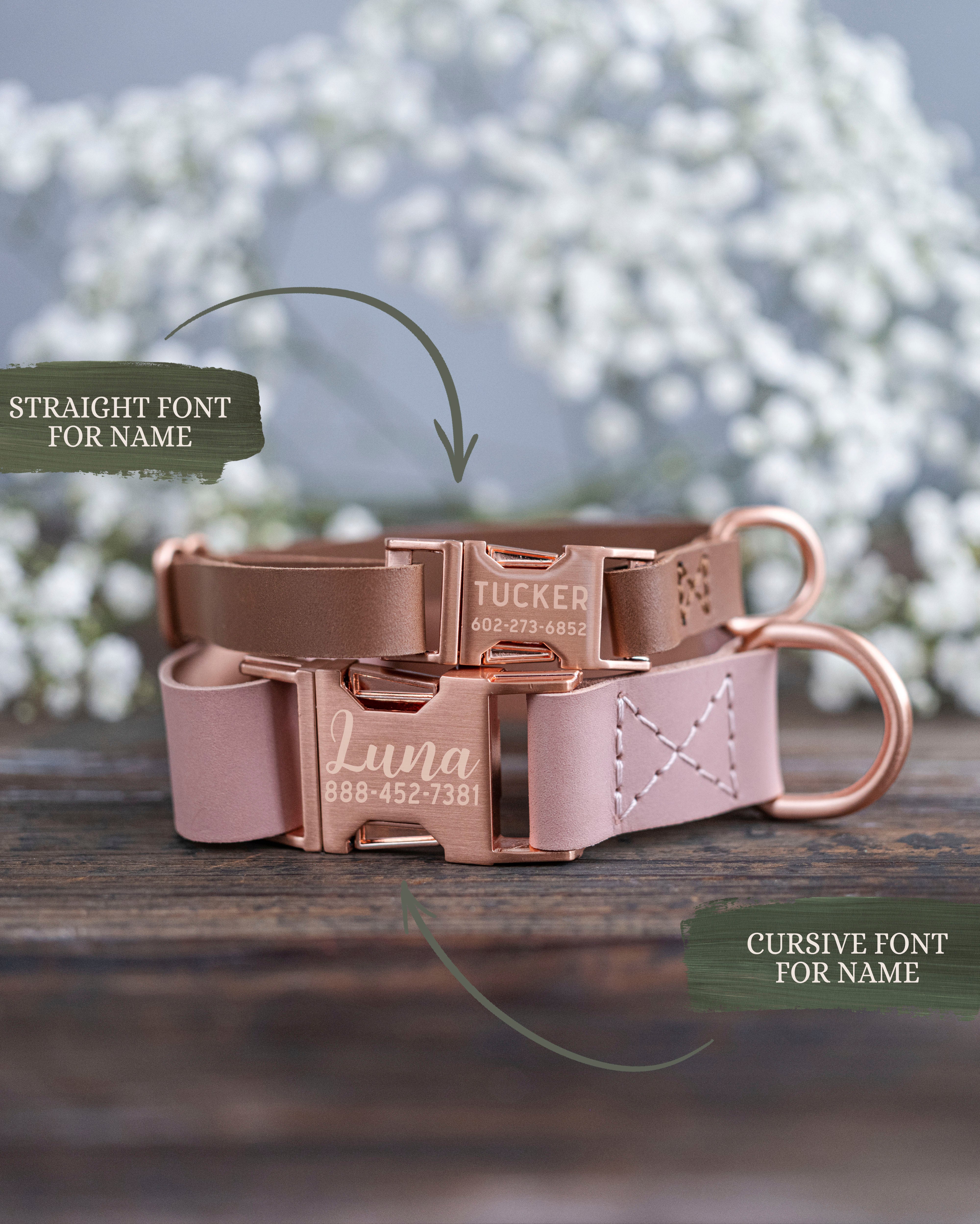 Rose Gold Buckle Dog Collar