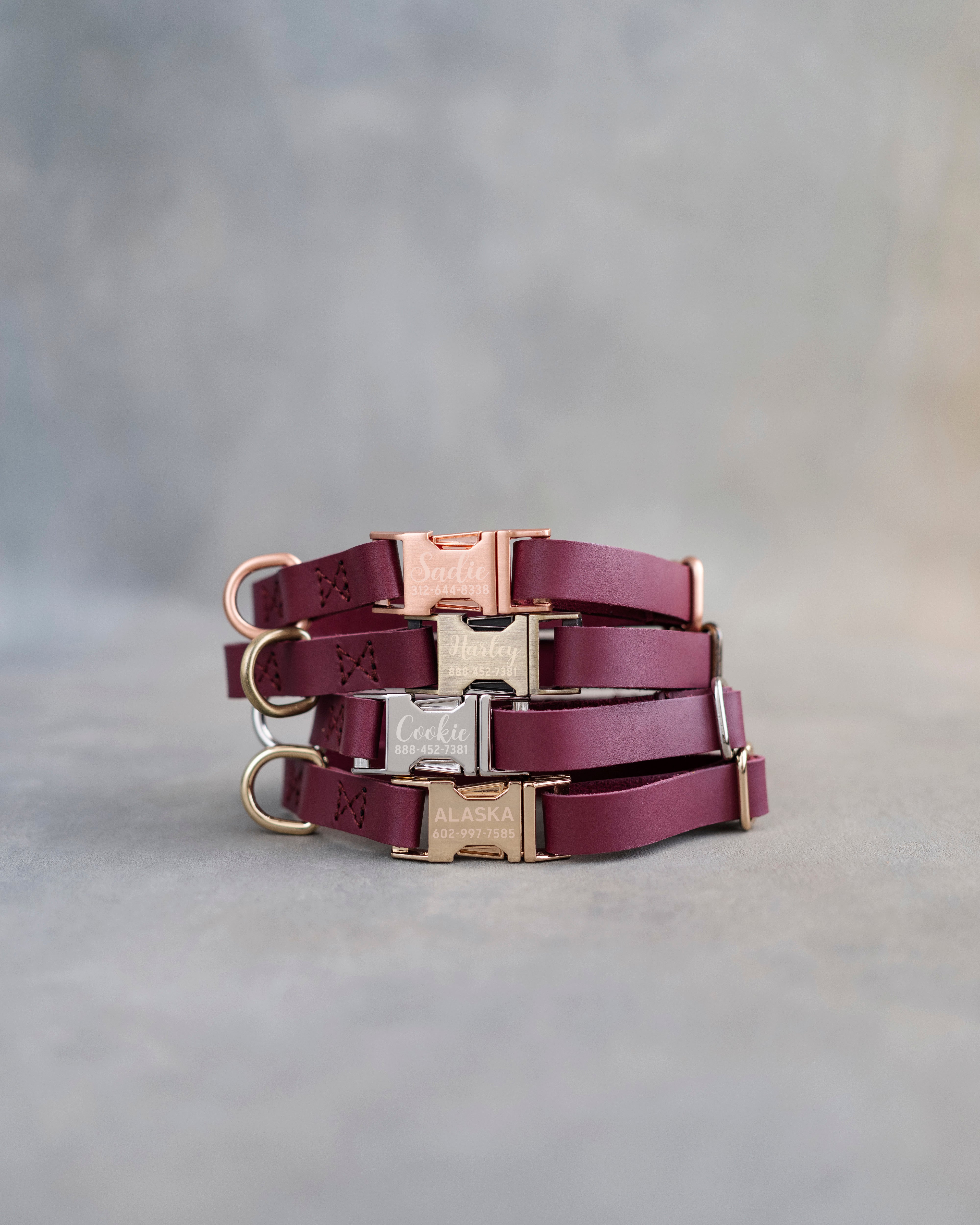 Dog Collar in Sangria leather with fast release buckle