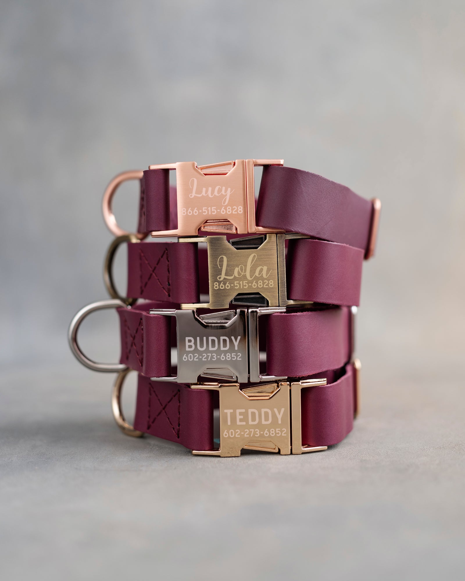 Dog Collar in Sangria leather with fast release buckle