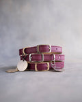 Dog Collar in Sangria leather with classy pin buckle