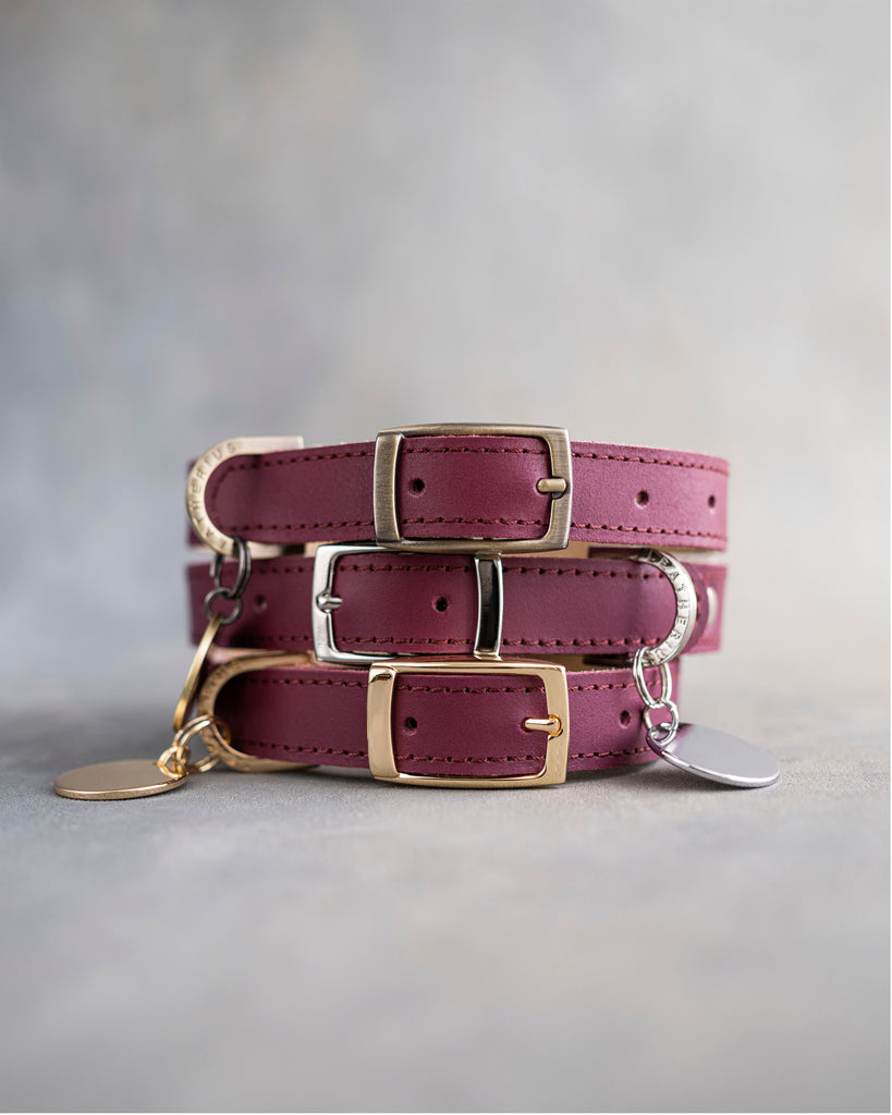 Dog Collar in Sangria leather with classy pin buckle