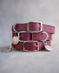 Dog Collar in Sangria leather with classy pin buckle