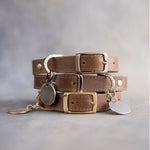 Dog Collar in Sicilian Brown leather with classy pin buckle