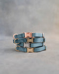 Dog Collar in Turquoise leather with fast release buckle