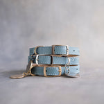 Dog Collar in Turquoise leather with classy pin buckle