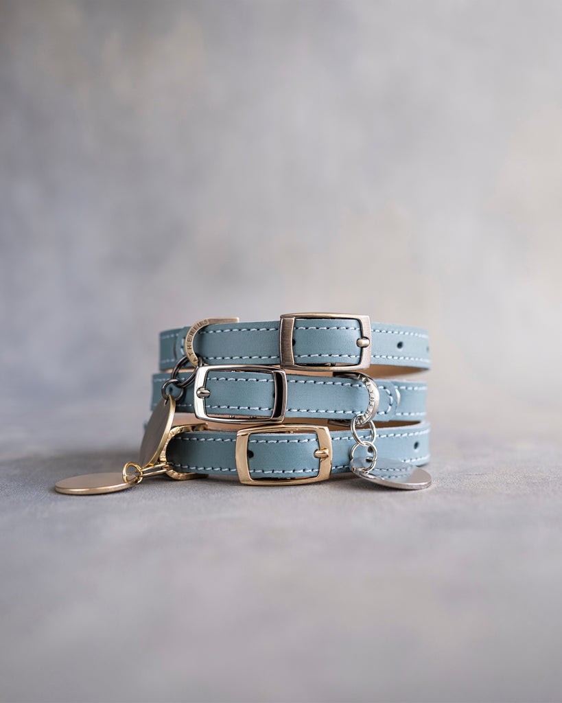 Dog Collar in Turquoise leather with classy pin buckle