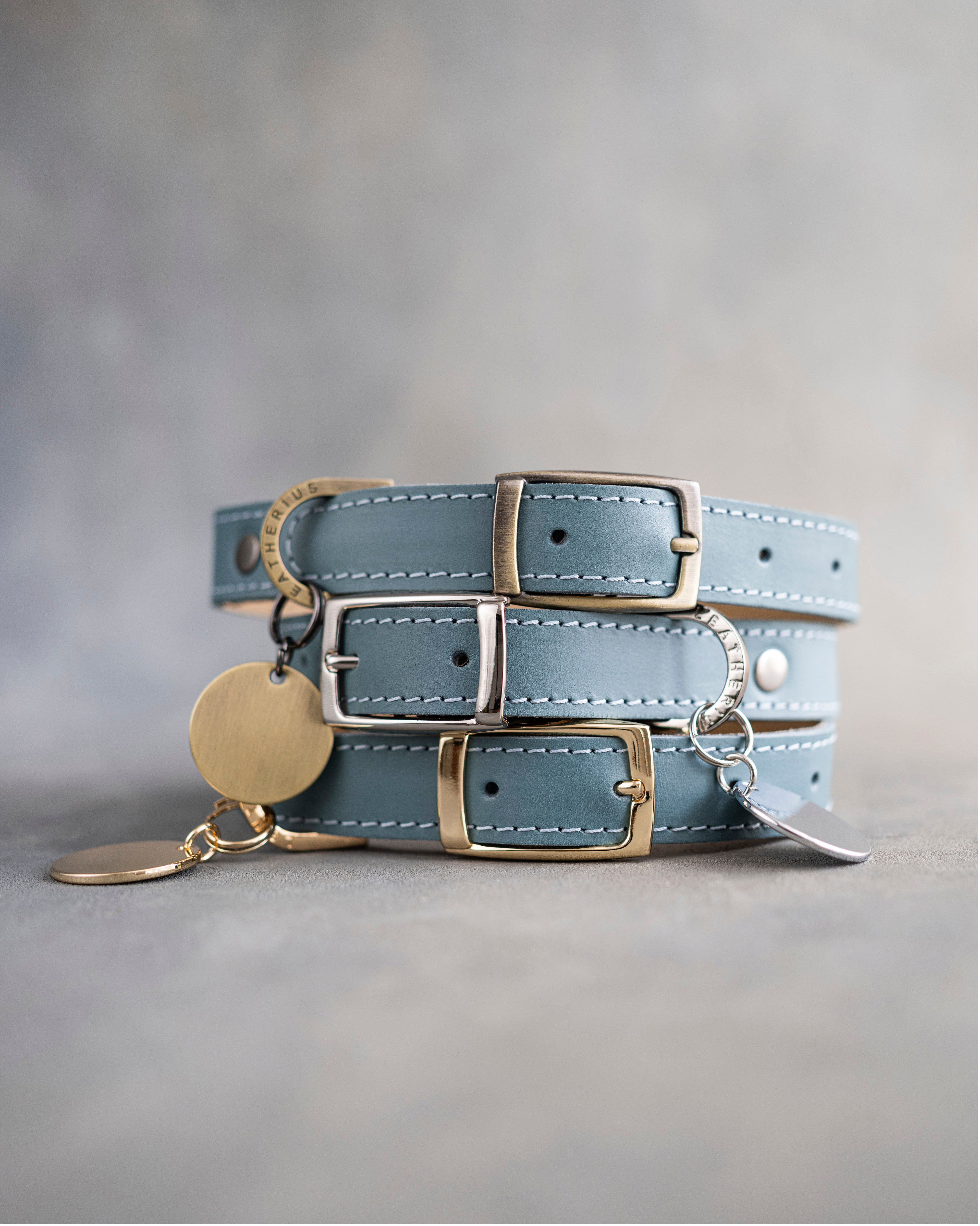 Dog Collar in Turquoise leather with classy pin buckle