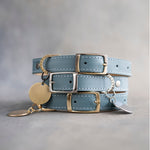 Dog Collar in Turquoise leather with classy pin buckle