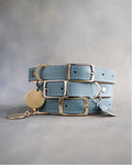 Dog Collar in Turquoise leather with classy pin buckle