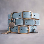 Dog Collar in Turquoise leather with classy pin buckle