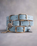 Dog Collar in Turquoise leather with classy pin buckle